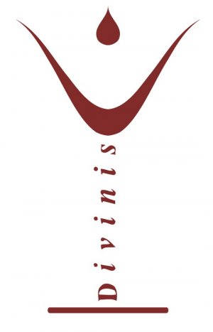 Logo Divinis