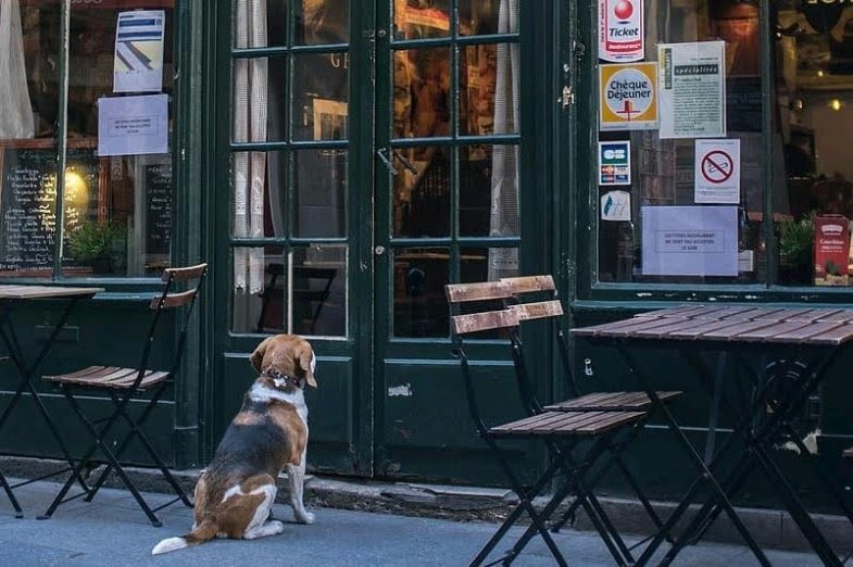 Restaurace ve Francii, ilustrační fotografie